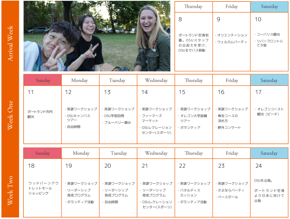 スケジュール　イメージ
